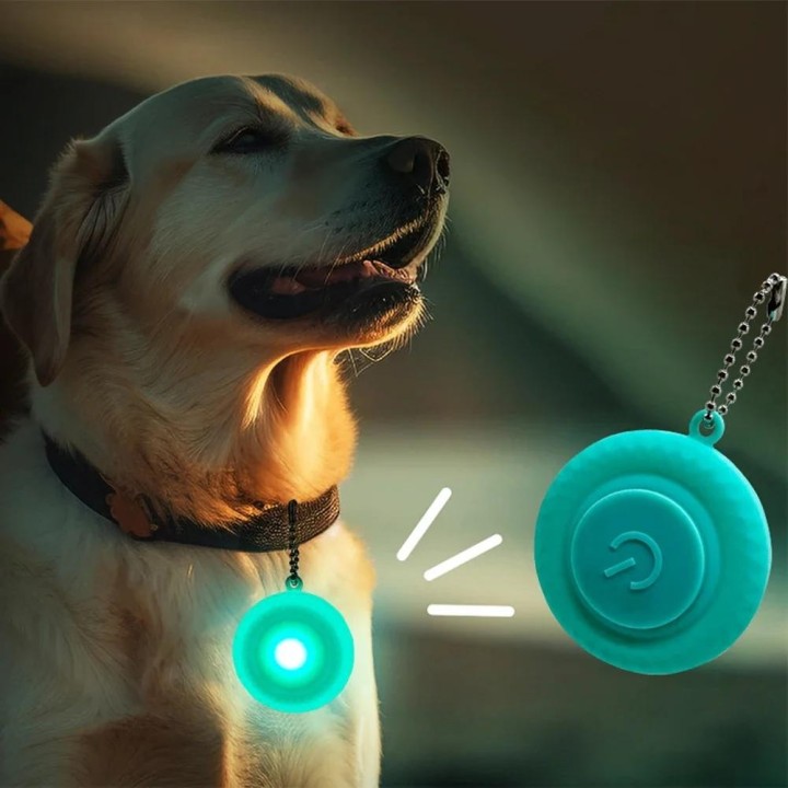 LED-Halsband mit Anhänger für Haustiere, Silikon, wasserdicht, leuchtend, für Hunde und Katzen, Halskette für Spaziergänge im