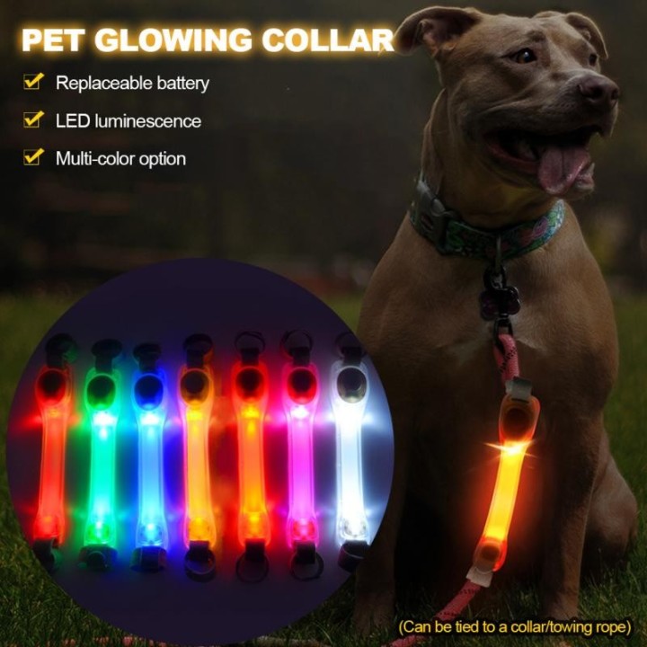 Hundehalsband, Anti-Verlust-Sicherheitshalsband, leuchtend, für den Außenbereich, wasserdicht, LED-Blinklichtleiste für Haust