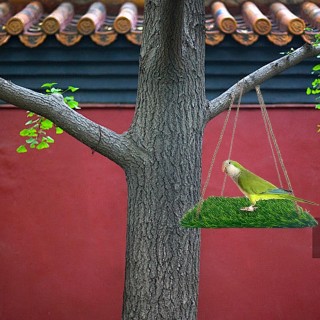 Vogelschaukel für Sittiche, Vogelgras-Schaukelmatte, Papageienkäfig-Hängematte mit Haken, Papagei-Futtersuche-Spielzeug für U