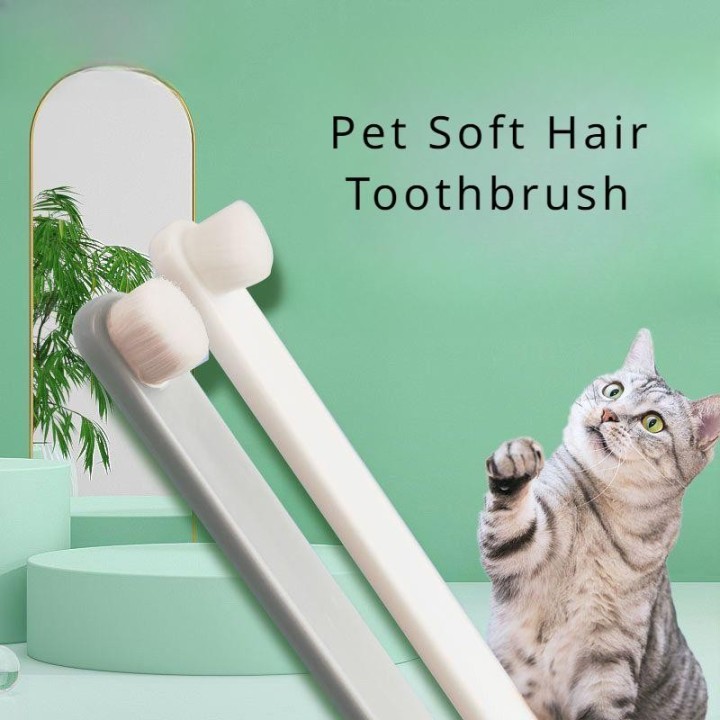 Haustier Zahnbürste Neue Kleine Kopf Haustier Katze Hund Kaninchen Reinigung Zunge Beschichtung Weiche Borsten Zahnbürste wei