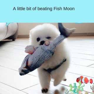 Hundespielzeug Haustier Hund Linderung von verstopften Fischen Molaren Kleiner bissfester Welpenbedarf Plüschwelpe Bichon Cor