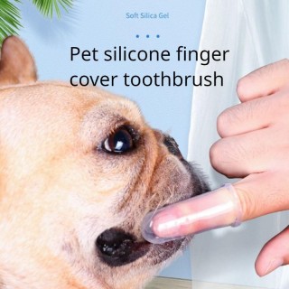 Exklusiv für Katzen, Hunde, Baby-Zahnbürste, Fingerzahnbürste, Zahnpasta-Set, Teddy, Haustier, kleiner Hund, Reinigungsmittel