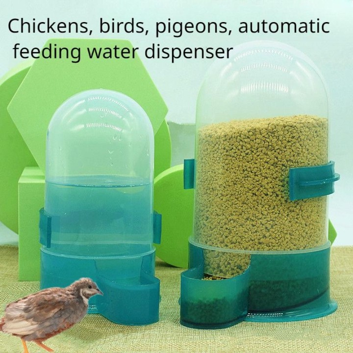 Rutin Futterspender für Hühner, Trinkbrunnen, für Vögel, Wachteln, Futternapf, Futternapf für Tauben, automatischer Futterspe