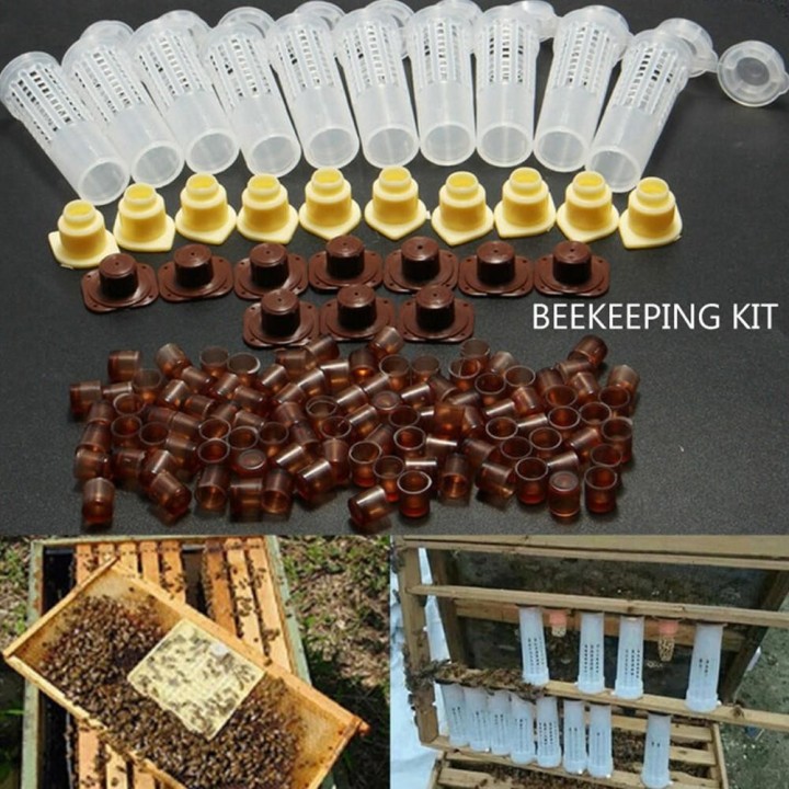 Bee Queen Aufzucht Cupkit Komplette Box Bienenzucht Käfig Kit/Set Cup