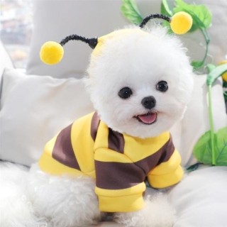 Haustier-Bienenkostüm, Hunde-Winterpullover, warme Kleidung, Urlaubs-Cosplay-Outfit für kleine und mittelgroße Hunde und Katz