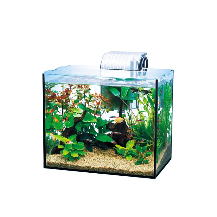 Tetra Glasaquarium Ganzglasaquarium Aquarium Tropische Fische Medaka Goldfisch GA-300F
