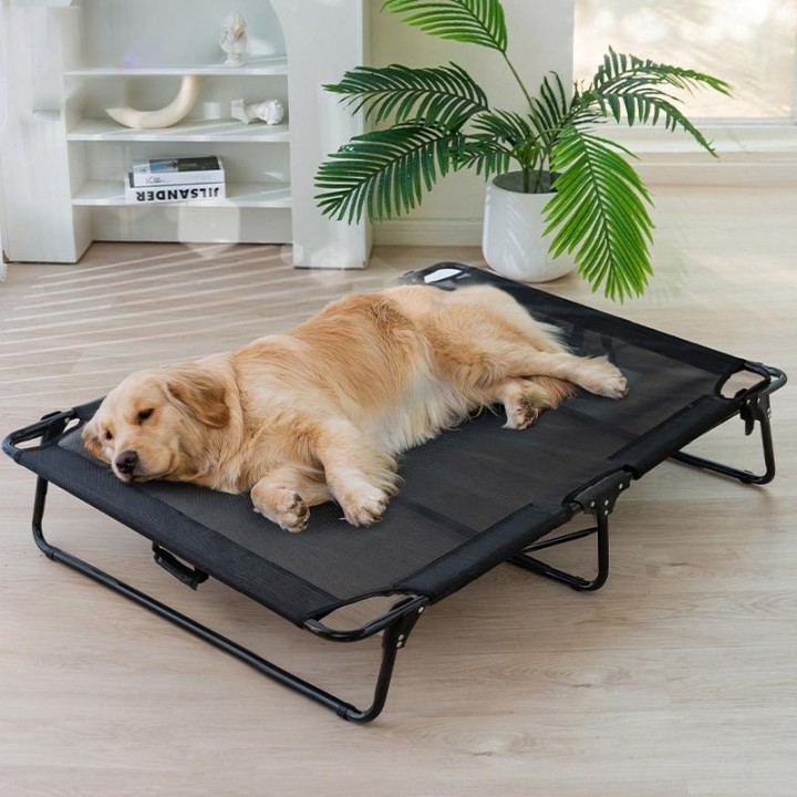 Hunde-Faltbett, Feldbett, frei von Installation, vollständig waschbar, verschleißfest und kratzfest, Sommer-Golden Retriever