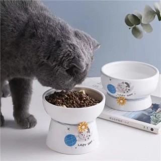 Keramikbecken für Haustiere, Katzenbecken, Katzennapf, hohe Füße, süßer Katzenfutternapf, Welpennapf mit Tischset, kippsicher