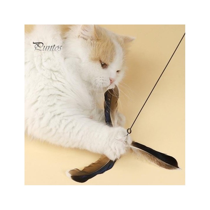 Lustiges Katzenspielzeug-Set, interaktives Katzenfederspielzeug für Katzen im Innenbereich, Kätzchen, Kitty, Teaser, Zauberst