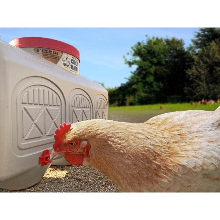 Tränkeautomat OverEZ Chicken Coops 45 liter
