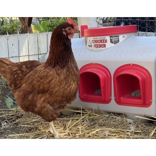 Futterautomat OverEZ Chicken Coop für 20 kg Futter