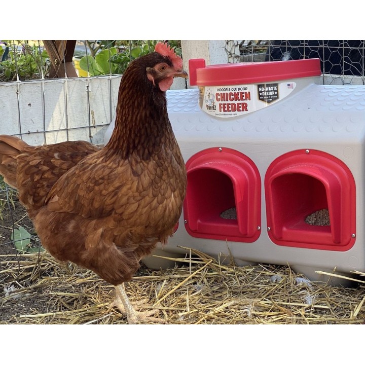 Futterautomat OverEZ Chicken Coop für 20 kg Futter