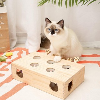 Katzenspielzeug Interaktives Whack-a-Mole-Spielzeug aus Massivholz für Hauskatzen Kätzchen Mäuse fangen Spiel