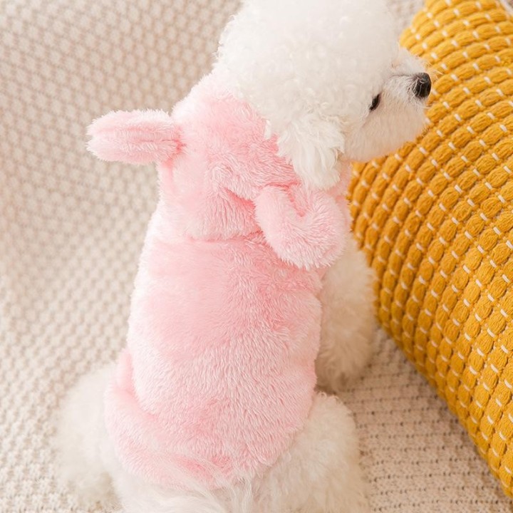 Warme Haustierkleidung, süßer Druckmantel, Hemdjacke für kleine und mittelgroße Hunde, Katzen, Teddy, französische Bulldogge,