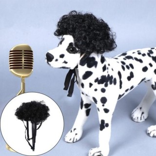 Haustierperücke, gefälschte lockige schwarze Haarmütze, weicher, leichter Schnürriemen, rutschfestes Kostüm, Cosplay-Requisit