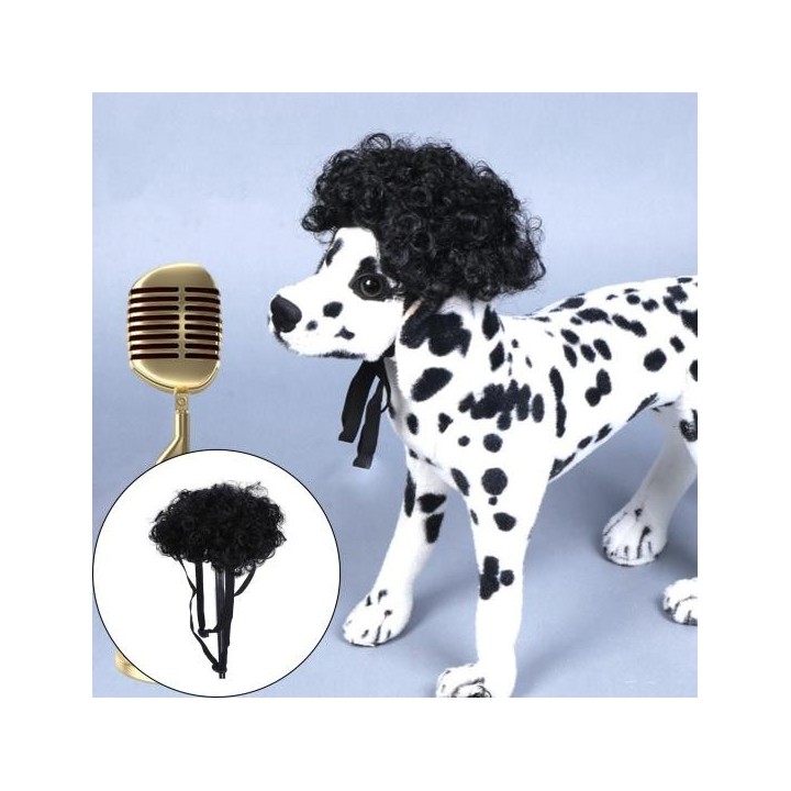 Haustierperücke, gefälschte lockige schwarze Haarmütze, weicher, leichter Schnürriemen, rutschfestes Kostüm, Cosplay-Requisit