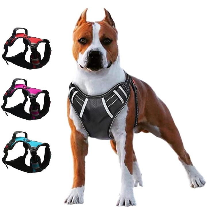 Schnelle Lieferung, verstellbares, passendes Hundeleinenhalsband, reflektierendes Haustier-Trainingszubehör, Nylon-Hundegesch