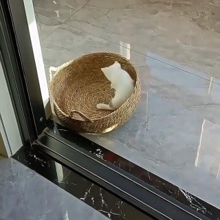 Four Seasons Katzenbett, gewebt, abnehmbare Polsterung, Schlafhaus, Katzenkratzboden, Rattan, waschbar, Katzen, Haustierprodu