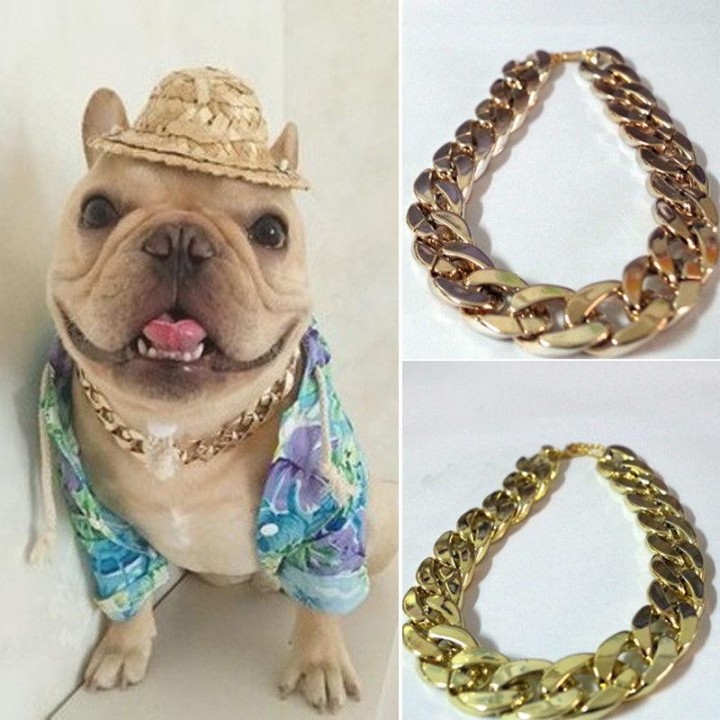 Katzen-Haustierzubehör-Kette Sale Halsband 36cm Haustierzubehör Cooles Punk-verstellbares Hundeschmuck-Accessoire gold