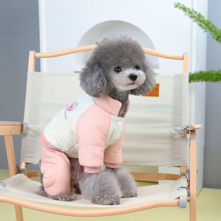 Baumwolle/Fleece Hund Vierbeiner Baumwollmantel Weiche Haustier Hund Baumwolljacke Herbst XS grau