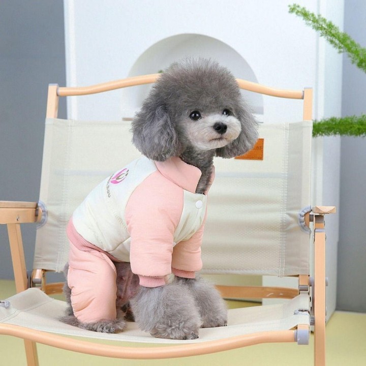 Baumwolle/Fleece Hund Vierbeiner Baumwollmantel Weiche Haustier Hund Baumwolljacke Herbst XS grau