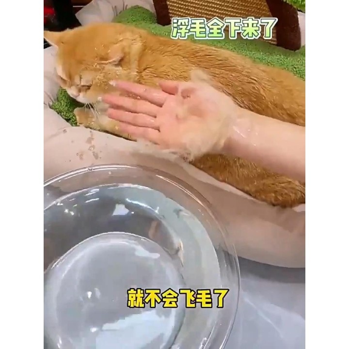 Dampfbürste für Katzen, Dampfbürste für Hunde, 3-in-1, elektrischer Sprüher, Haarbürsten für Kätzchen und Katzen zur Massage,