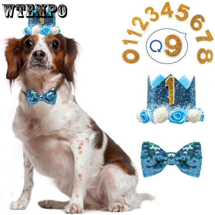 Hunde-Geburtstagsparty-Hut, geeignet für Mädchen/Jungen, wiederverwendbar, Geburtstagsfeier, Katze, Katzenkopf mit 0–9-Puppen