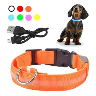 USB wiederaufladbare Haustier Hund LED leuchtende Kragen Haustier leuchtende blinkende Halskette Outdoor Walking Hund Nacht S