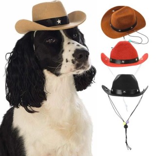 Kopfbedeckung für Haustiere im Western-Cowboy-Stil, mit Sternen verziert, auffälliges Kostümzubehör für Hunde und Katzen für