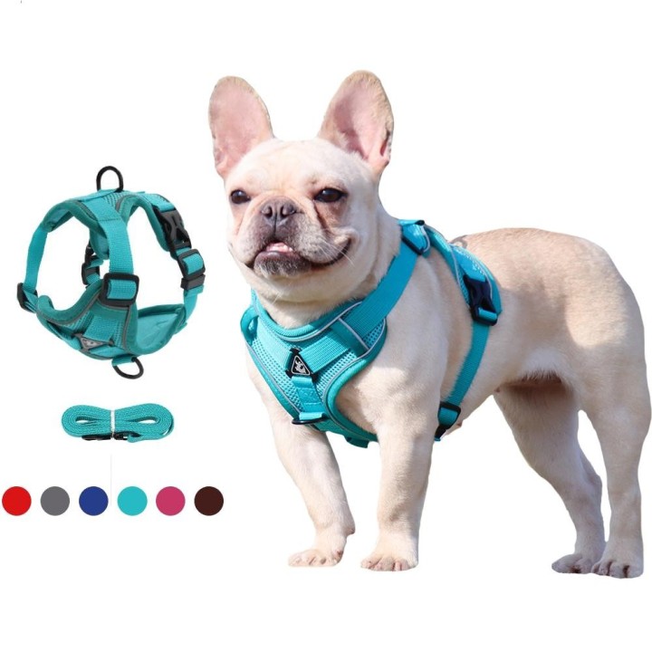 Welpen-Hundegeschirr, Weste und Leine, verstellbares Nylon-Katzengeschirr, reflektierende, atmungsaktive Mesh-Haustier-Brustg