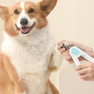 LED-Nagelknipser für Haustiere mit Sicherheitsschloss, leichter Katzen-Nagelknipser, LED-Leuchten, rostfrei rosa