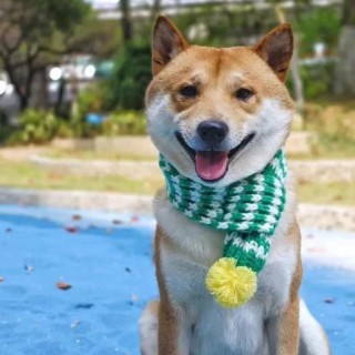 Katzenlätzchen Teddy Bichon Lätzchen Hundezubehör Herbst und Winter Warmer Weihnachts-Haustierschal 1pc