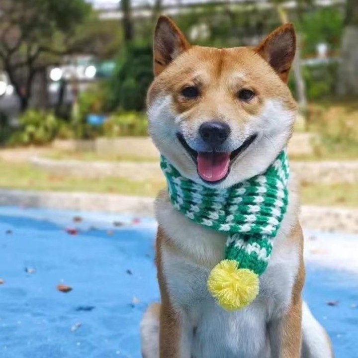 Katzenlätzchen Teddy Bichon Lätzchen Hundezubehör Herbst und Winter Warmer Weihnachts-Haustierschal 1pc