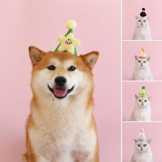 Filzhut für Haustiere, Katzen und Hunde, verstellbares Gummiband, Cartoon-Form, Fliege, stilvolle Katzen, Welpen, Kaninchen,