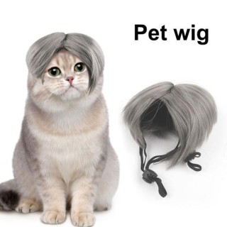 Haustier-Perücke für Katzen und Hunde, Cosplay-Kostüm, verstellbares Gummiband-Design, lustige Kopfbedeckung, DIY-Haustier-Zu