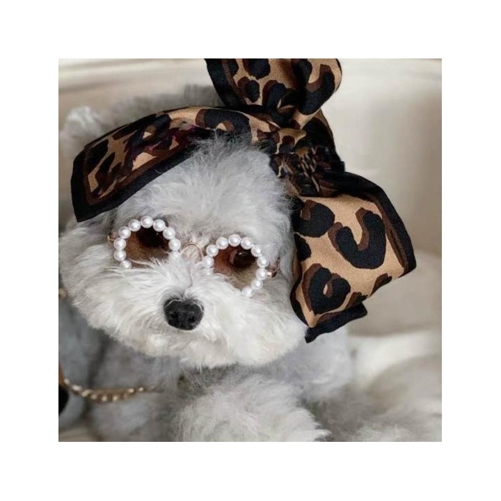 Haustierbrille, auffällige superleichte Kunststoffbrille für kleine Hunde, modische runde Brille, Heimtierbedarf 8cm