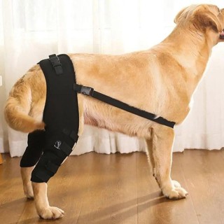 Knie-Hüftgelenk schützen Beine Protector Gelenkverletzung Recovery Support Gürtel Pet Knie Pad Hund XS schwarz
