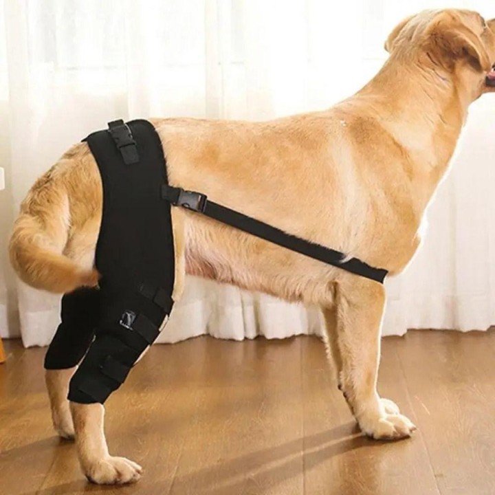 Knie-Hüftgelenk schützen Beine Protector Gelenkverletzung Recovery Support Gürtel Pet Knie Pad Hund XS schwarz