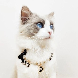 Stuff Rosa Perle Welpen Zubehör Prinzessin Strass Katze Schmuck Haustier Halsbänder Schleife Halsband Halskette S schwarz
