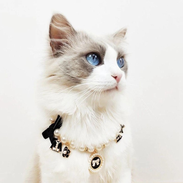 Stuff Rosa Perle Welpen Zubehör Prinzessin Strass Katze Schmuck Haustier Halsbänder Schleife Halsband Halskette S schwarz