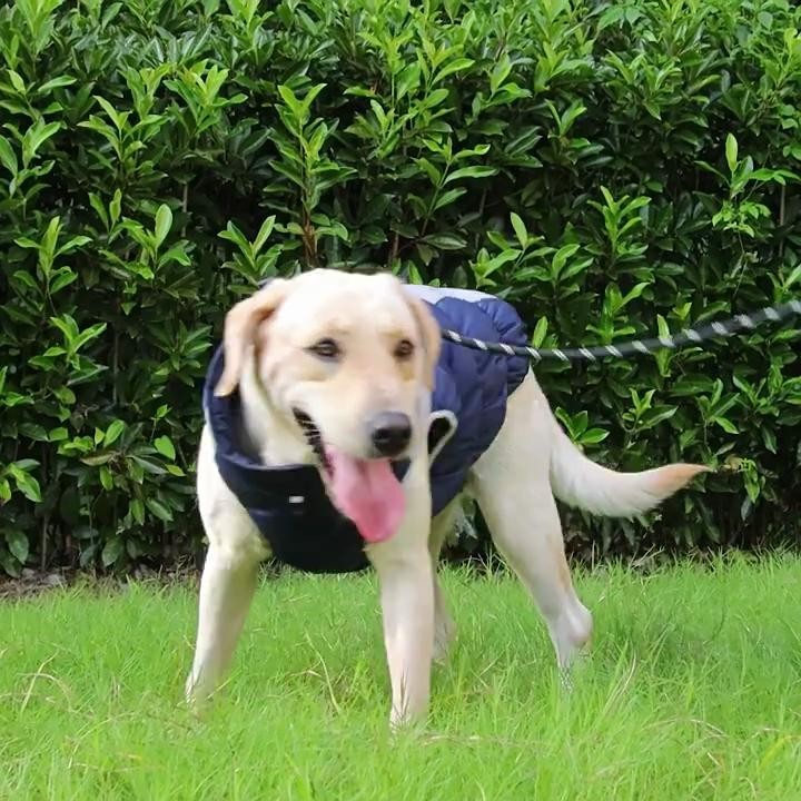 Winter-Jacke für große Hunde, warm, reflektierend, wasserdicht, verdickt XL dunkelblaue