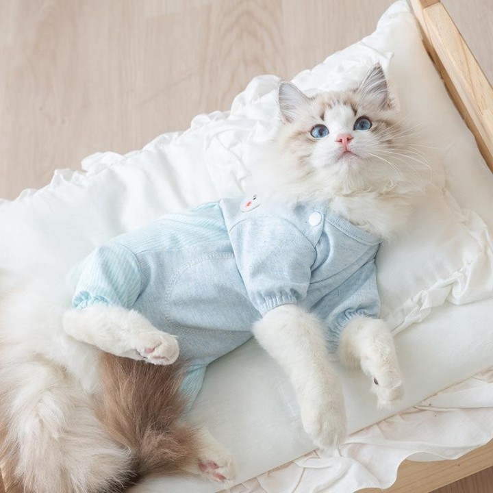 Warme Haustierkleidung, süßer Druckmantel, Hemdjacke für kleine und mittelgroße Hunde, Katzen, Teddy, französische Bulldogge,