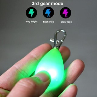 Haustier-LED-Nachtlicht-Anhänger, wasserdicht, langlebig, Anti-Verlust, mit hängender Schnalle, schnelles Blinken, stabiles L