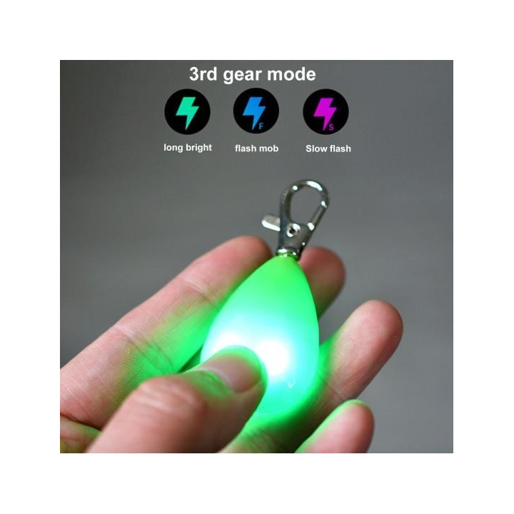 Haustier-LED-Nachtlicht-Anhänger, wasserdicht, langlebig, Anti-Verlust, mit hängender Schnalle, schnelles Blinken, stabiles L