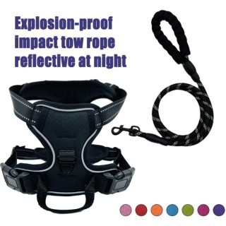 Weiches Mesh-Hundegeschirr, reflektierendes Haustier-Traktionsseil, Sicherheits-Hundeleinen, Haustiergeschirr, Leine-Set für