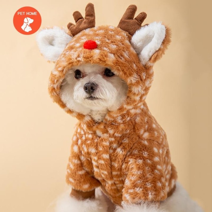 Warme Haustierkleidung, süßer Druckmantel, Hemdjacke für kleine und mittelgroße Hunde, Katzen, Teddy, französische Bulldogge,