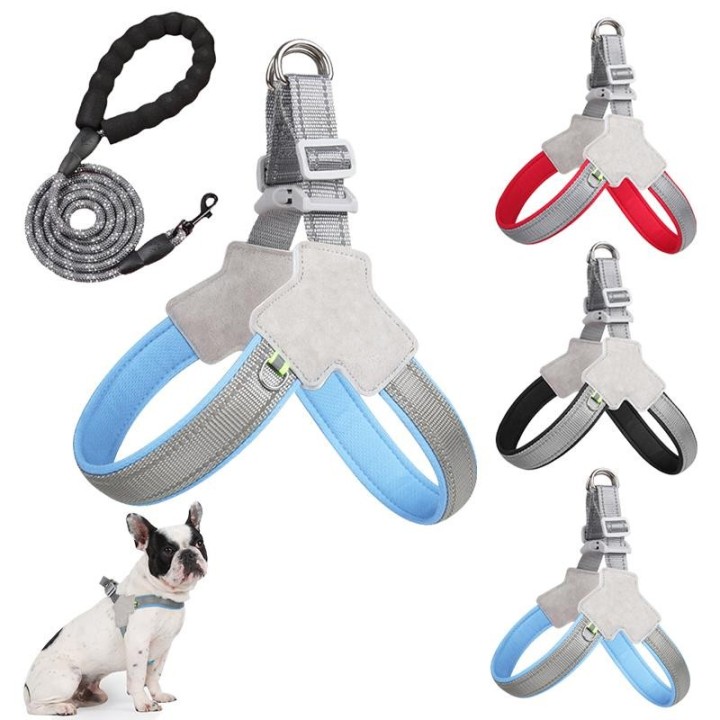 Hundegeschirr mit Leine für kleine Hunde, reflektierend, verstellbar, Brustgurt, Leine, Gürtel für Katzen und Welpen, Outdoor