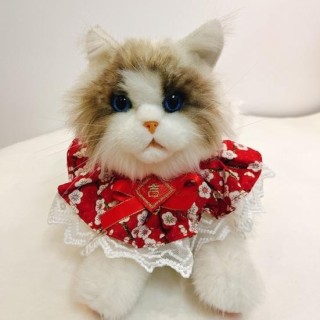 Lätzchen für Haustiere, Speicheltuch, Schleifenknoten-Design, Spitzenbesatz, lebendige Farbe, verschleißfest S