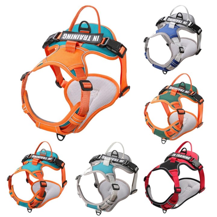 Haustier Hund und Katze Verstellbares Geschirr Gurt Leine Hundegeschirr Reflektierende atmungsaktive Weste Weste für kleine u
