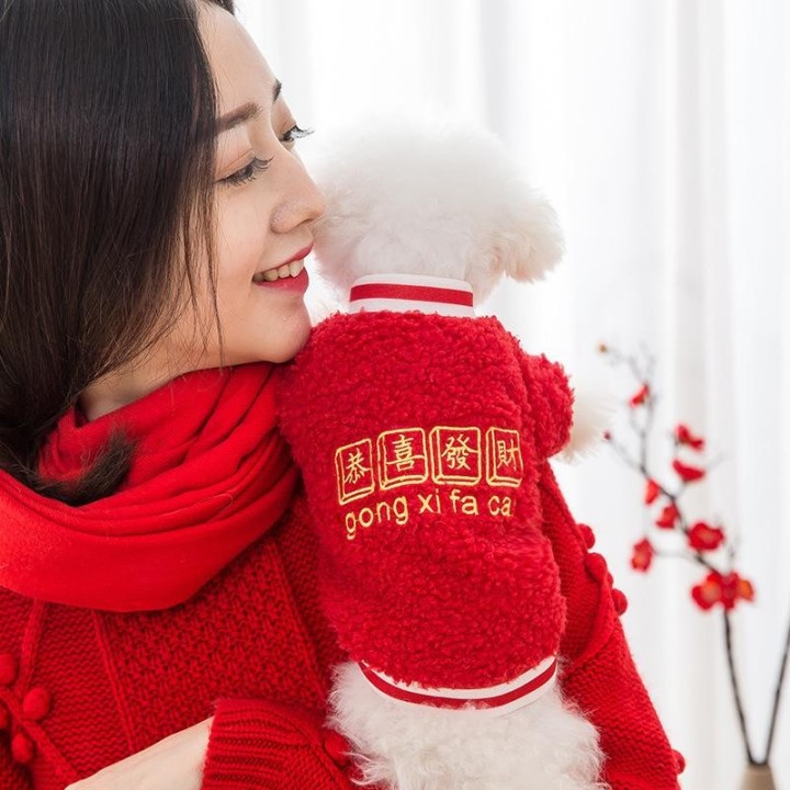 Warme Haustierkleidung, süßer Druckmantel, Hemdjacke für kleine und mittelgroße Hunde, Katzen, Teddy, französische Bulldogge,